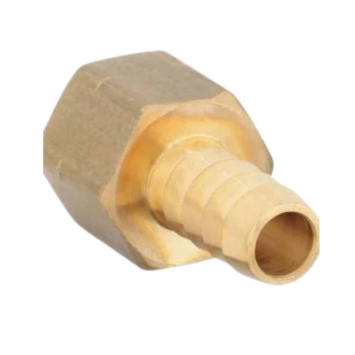 1/2" Hose Barb x 1/2" Female FNPT Thread - FHB